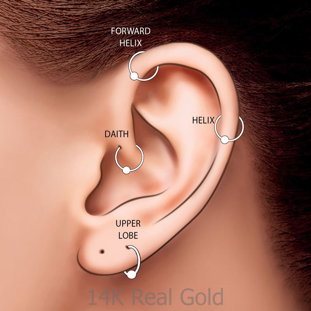 Piercing | Helix / Tragus Piercing in 14K White Gold with Gold Ball - Large