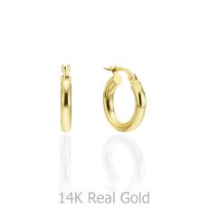 14K Yellow Gold Women's Earrings - S