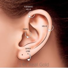 Helix / Tragus Piercing in 14K Yellow Gold with Cubic Zirconia - Large