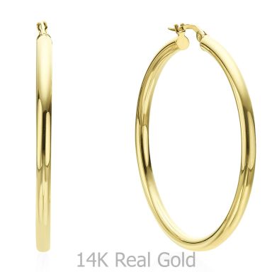 14K Yellow Gold Women's Earrings - XL