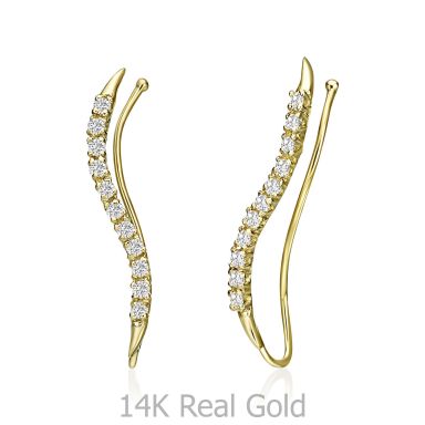 14K Yellow Gold Women's Earrings - Cassiopeia