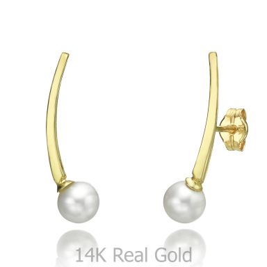 14K Yellow Gold Women's Earrings - Eridanus